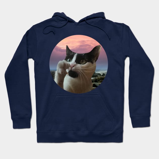 Funny Cat Hoodie by Aeriskate